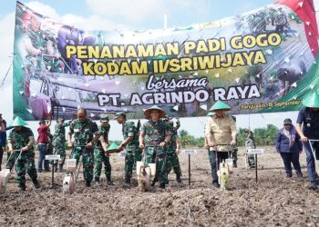 Dukung Ketahanan Pangan Nasional, Pangdam II/Sriwijaya Canangkan Penanaman Padi Gogo di Banyuasin