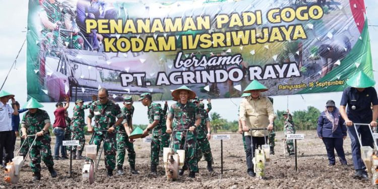 Dukung Ketahanan Pangan Nasional, Pangdam II/Sriwijaya Canangkan Penanaman Padi Gogo di Banyuasin