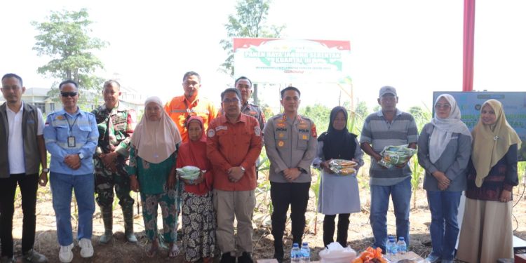 Panen Raya Jagung Serentak Kuartal III, Polres Muara Enim Ikut Sukseskan Swasembada Pangan