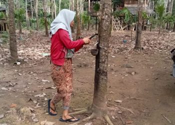 Meski Status Penyidikan, Polres Ogan Ilir Belum Menetapkan Tersangka Terkait Dugaan Pemalsuan Tandatangan Penerima BLT Teluk Kecapi