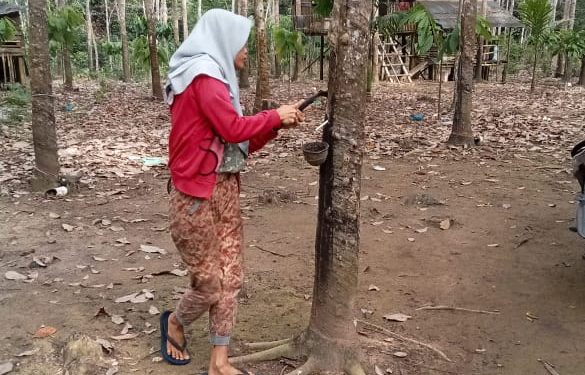 Meski Status Penyidikan, Polres Ogan Ilir Belum Menetapkan Tersangka Terkait Dugaan Pemalsuan Tandatangan Penerima BLT Teluk Kecapi