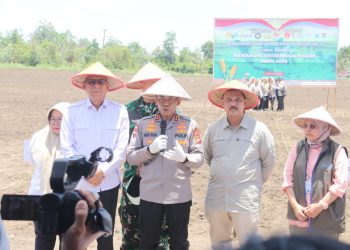 Polda Sumsel Dorong Ketahanan Pangan, Kapolda Sumsel Tanam Jagung Bersama Forkopimda