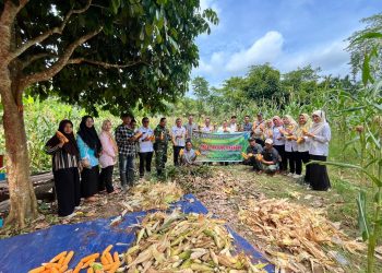 Polsek Tanjung Raja Bersama Pemdes Tanjung Harapan Panen Jagung Dukung Ketahanan Pangan Nasional