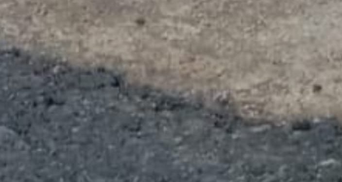 Warga Keluhkan Proyek Pengasapalan i di Desa Raja” Diduga Asal Jadi Mudah Terkelupas 