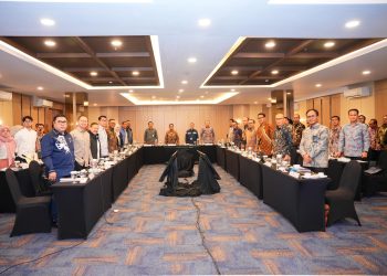 Sinergi PLN–Komisi XII DPR RI: Infrastruktur Kelistrikan Sumsel Diperkuat, Akses Listrik Dipercepat