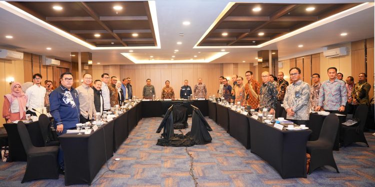 Sinergi PLN–Komisi XII DPR RI: Infrastruktur Kelistrikan Sumsel Diperkuat, Akses Listrik Dipercepat