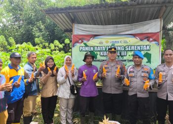 Polsek Lawang Kidul Dampingi Panen Jagung di Tegal Rejo, Wujud Dukungan Polri pada Ketahanan Pangan