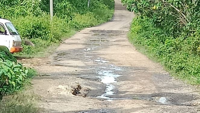 Simpang Solar Jalan Berlubang Digenangi Air. warga Berharap  Bupati Peduli Turun langsung 