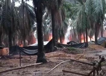 Sumur Minyak Ilegal di Muba Terbakar, Diduga Milik Oknum ASN PUPR, 3 Pekerja Tewas