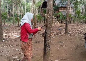 Gaduh, Pasca Gelar Perkara Penanganan Kasus Dugaan Pemalsuan Tandatangan Penerima BLT Desa Teluk Kecapi