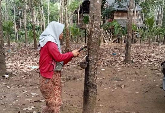 Gaduh, Pasca Gelar Perkara Penanganan Kasus Dugaan Pemalsuan Tandatangan Penerima BLT Desa Teluk Kecapi