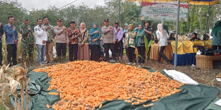 Kapolsek Rambang Dangku Hadiri Panen Raya Jagung Kuartal IV, Perkuat Ketahanan Pangan Nasional