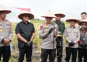 Kapolda Sumsel Didampingi Kapolres Ogan Ilir Salurkan Bantuan Sosial pada Acara Panen Raya Jagung Serentak