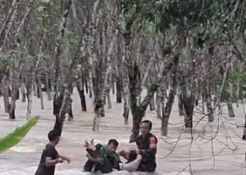 Heroik! Babinsa Belitang Evakusi Warga Terseret Arus Banjir