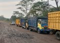 Ke Mana Pemkab Muba? Diduga Hauling Batubara Oleh PT Osean Mulai Berjalan Lewat Jalan Umum, Kangkangi Instruksi Gubernur Sumsel