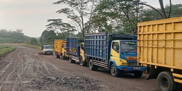 Ke Mana Pemkab Muba? Diduga Hauling Batubara Oleh PT Osean Mulai Berjalan Lewat Jalan Umum, Kangkangi Instruksi Gubernur Sumsel
